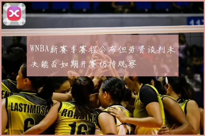 WNBA新赛季赛程公布但劳资谈判未决能否如期开赛仍待观察
