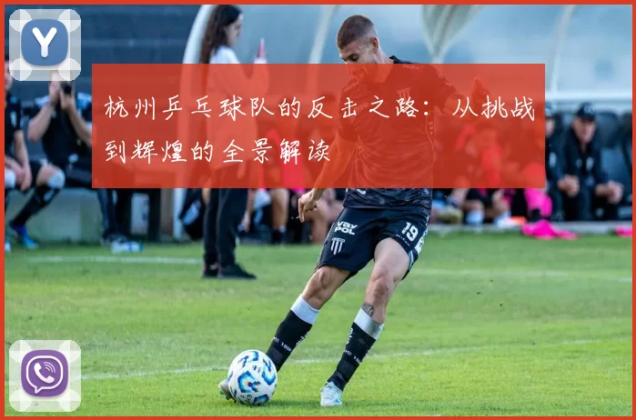 杭州乒乓球队的反击之路:从挑战到辉煌的全景解读