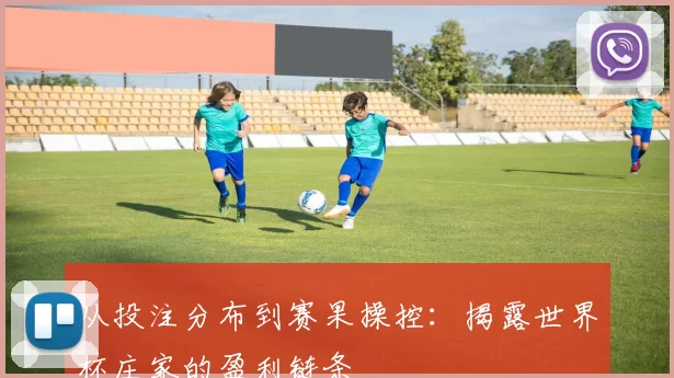 从投注分布到赛果操控:揭露世界杯庄家的盈利链条