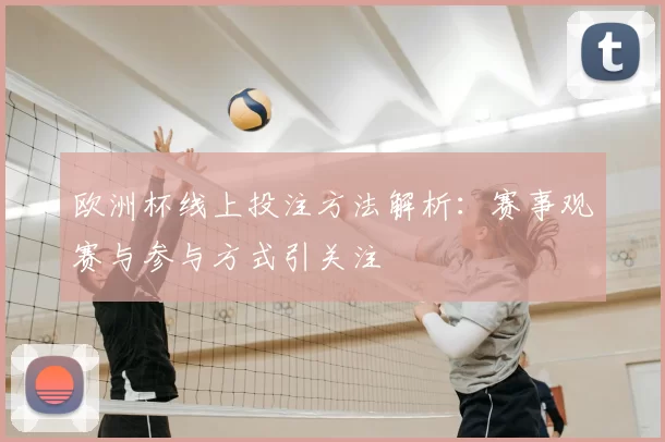 欧洲杯线上投注方法解析:赛事观赛与参与方式引关注