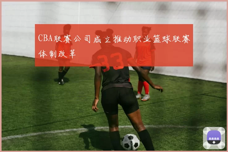 CBA联赛公司成立推动职业篮球联赛体制改革