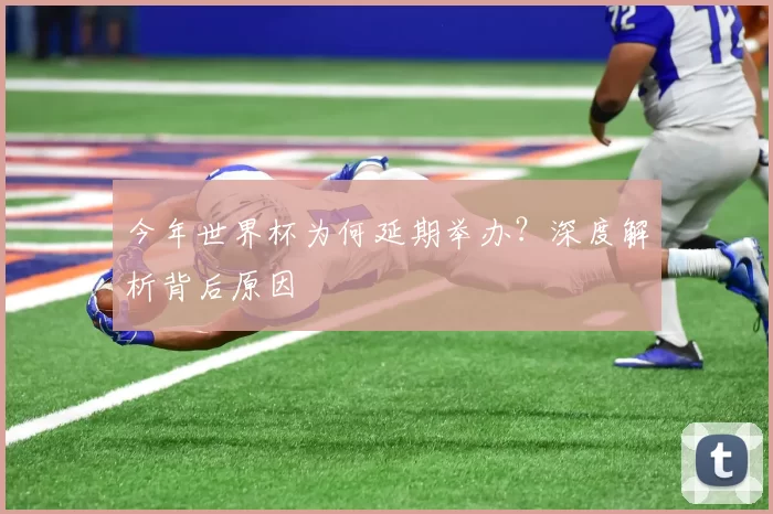 今年世界杯为何延期举办?深度解析背后原因