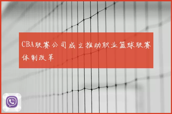 CBA联赛公司成立推动职业篮球联赛体制改革