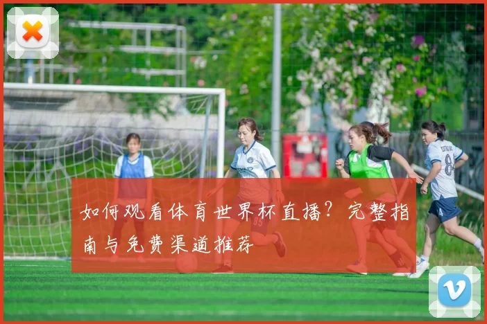 如何观看体育世界杯直播？完整指南与免费渠道推荐